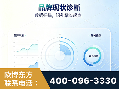海北-品牌现状诊断