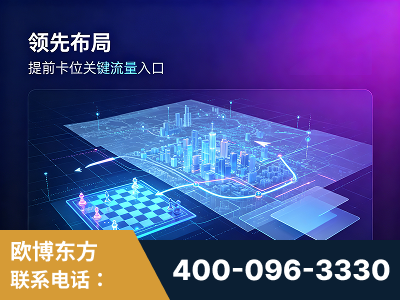 海北-领先布局：于2024年初开启GEO业务的公司